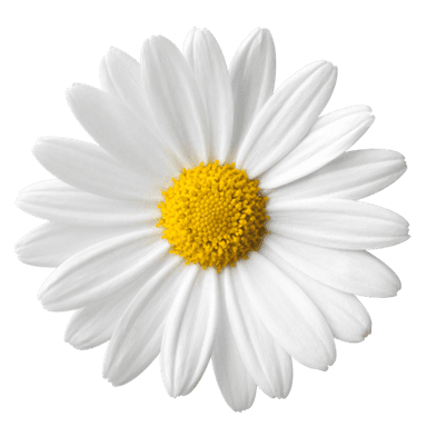 Second image